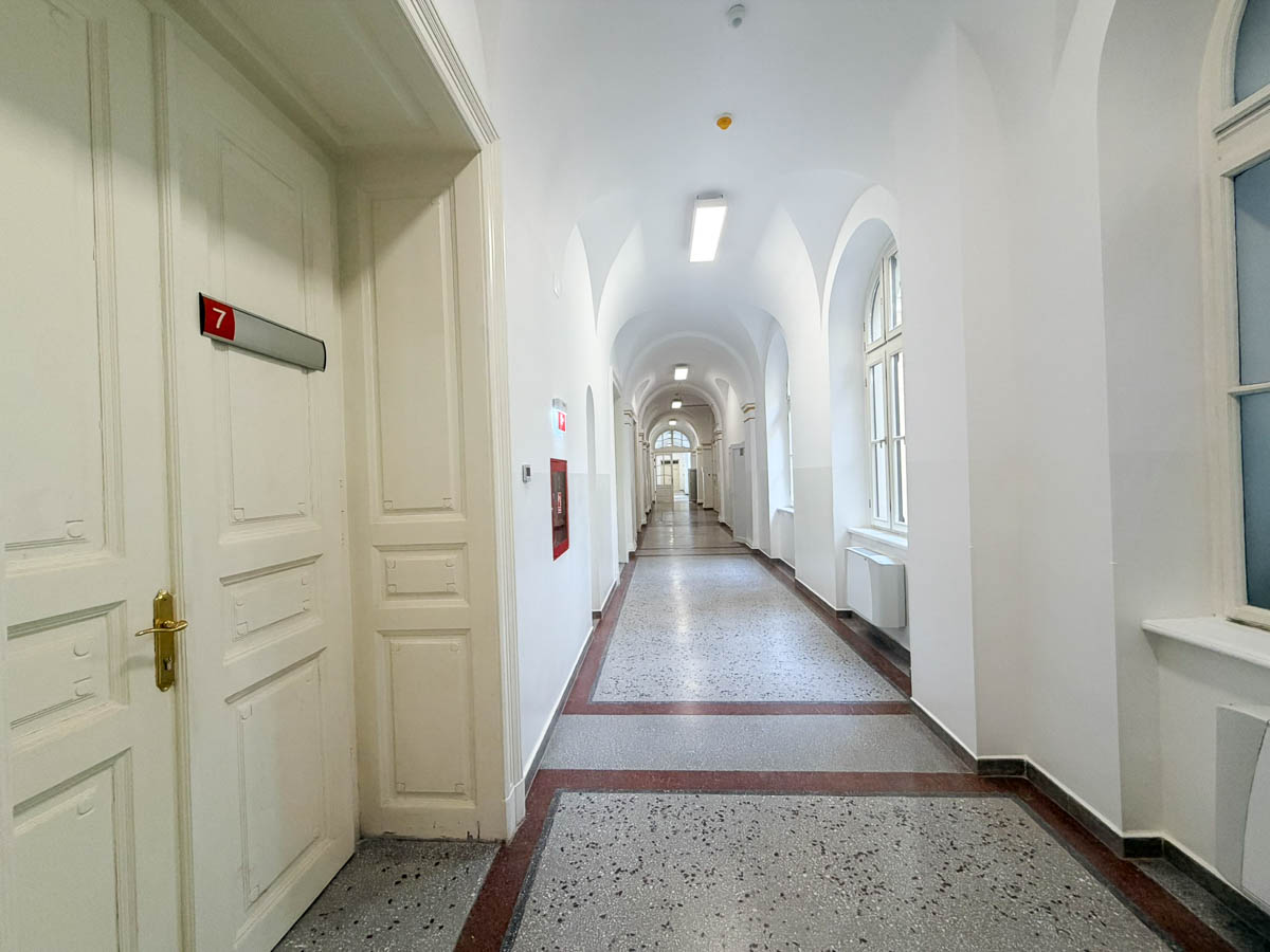 Primaria Oradea