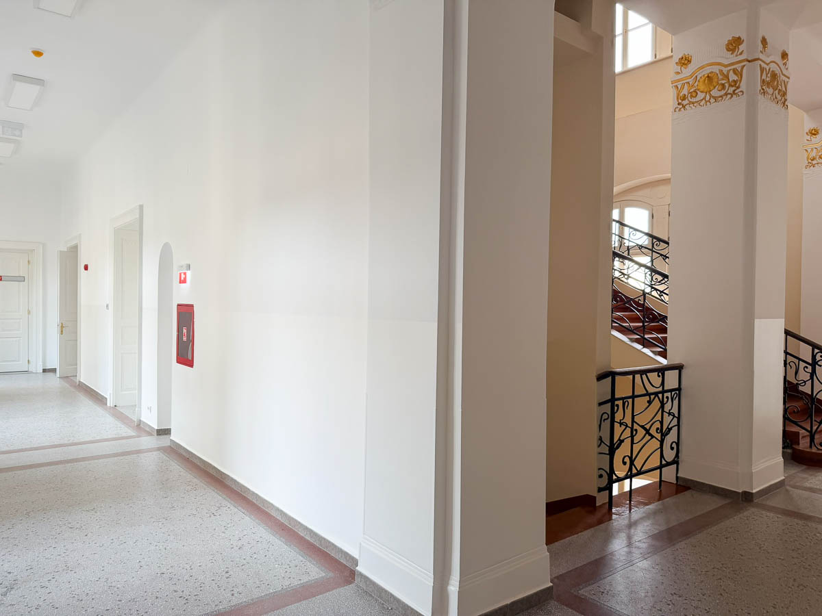 Primaria Oradea